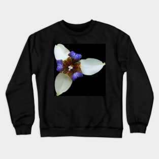 Orchid, Ciudad Colon, Costa Rica Crewneck Sweatshirt